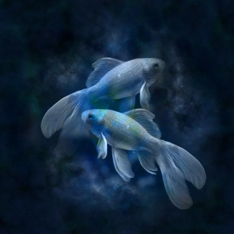 sagittarius zodiac