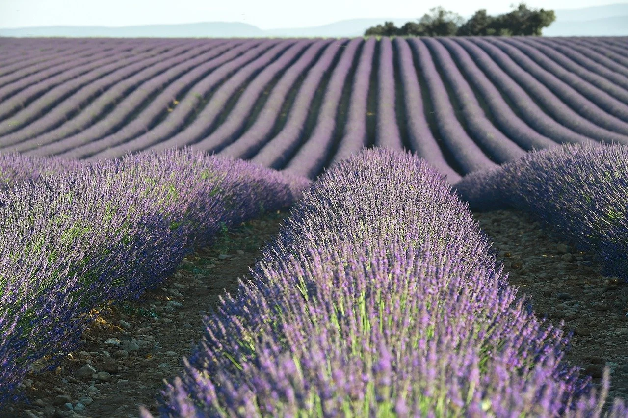 uleiuri esentiale naturale
