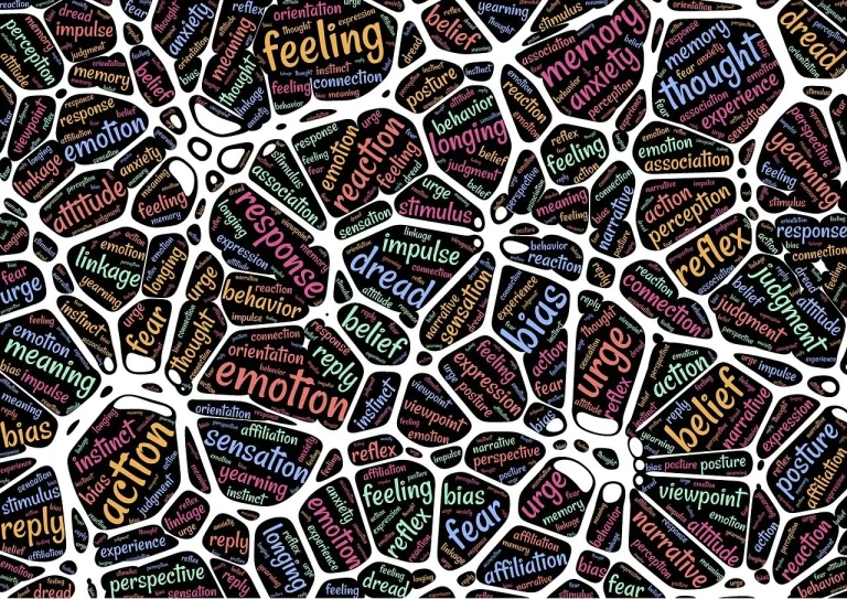 neurostiinta fericirii daniel siegel