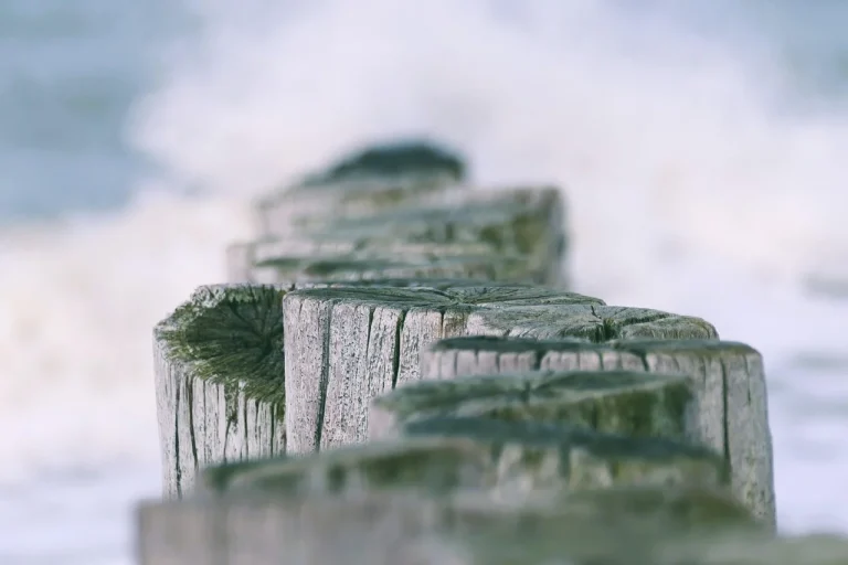 steaua nordului semnificatie