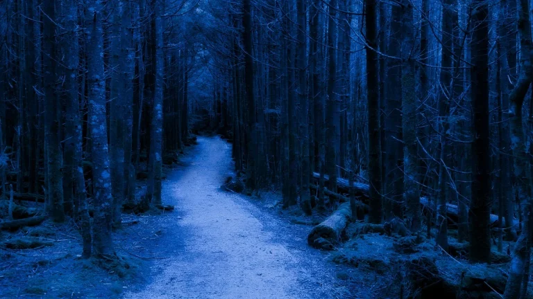 ce inseamna cand visezi carne prajita